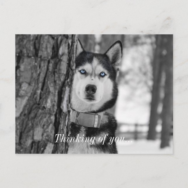 Cartão Postal Meus Olhos Azuis Do Bebê Pensando Em Você (Frente)