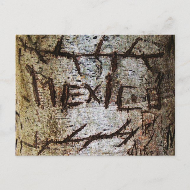 Cartão Postal "México" - Grafite de árvore gravada (Frente)
