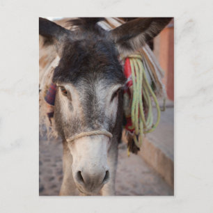 Cartão Postal México, San Miguel De Allende 2