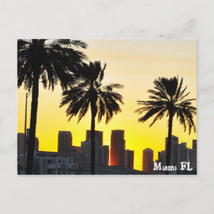 Cartão Postal Miami FL
