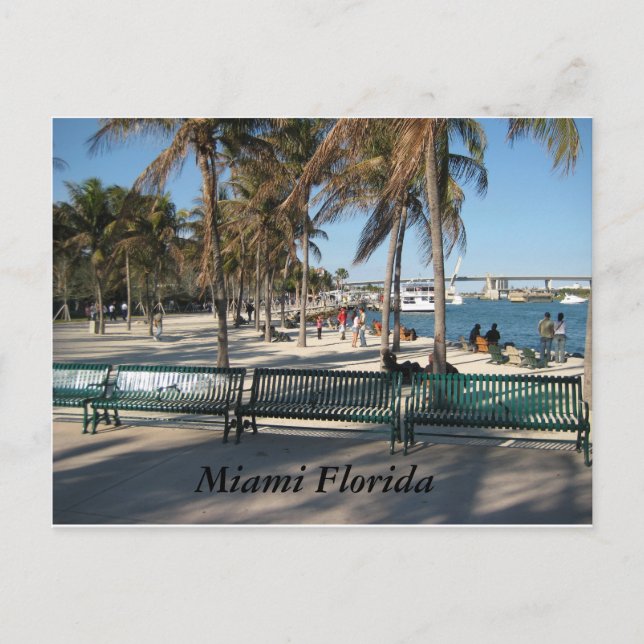 Cartão Postal Miami Flórida (Frente)
