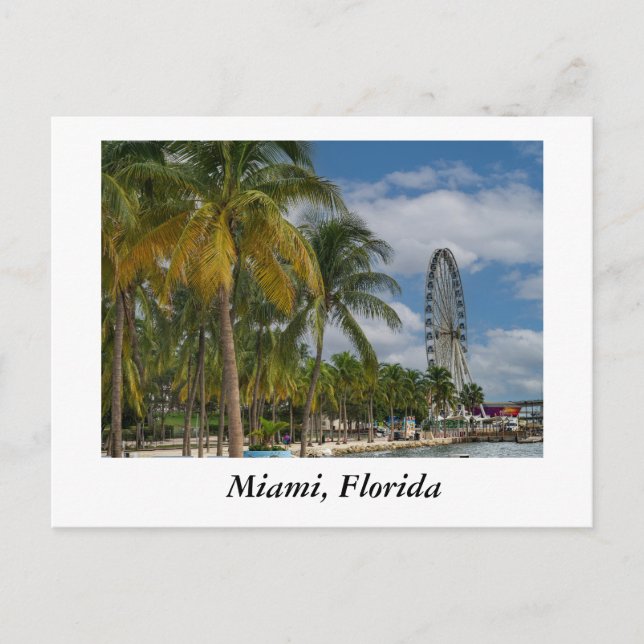Cartão Postal Miami Florida e Biscayne Bay (Frente)