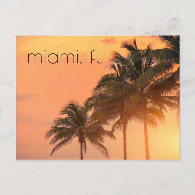 Cartão Postal Miami Palms (Frente)