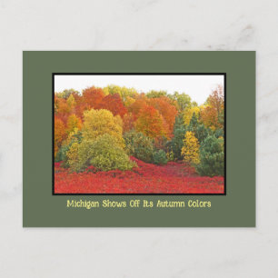 Cartão Postal Michigan mostra as cores do outono