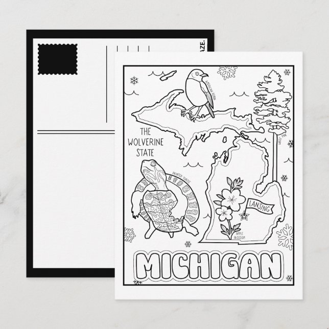 Cartão Postal michigan pinte colagem (Frente/Verso)