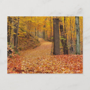 Cartão Postal Michigan Trails