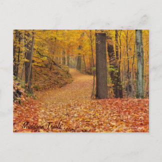 Cartão Postal Michigan Trails