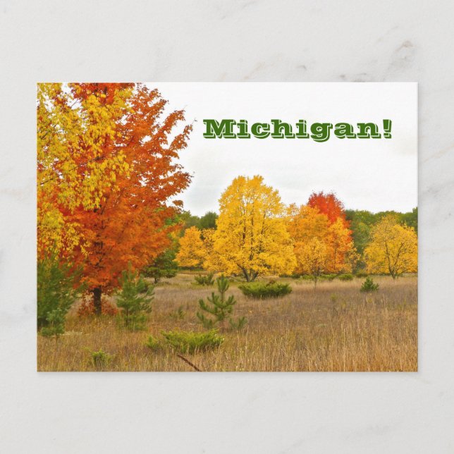 cartão postal"MICHIGAN VIVE WITH VIBRANT COLOR" (Frente)