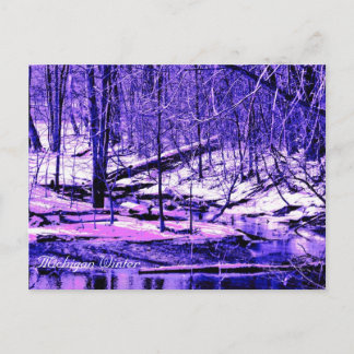 Cartão Postal Michigan Winter