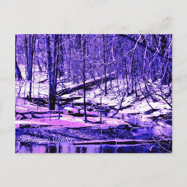 Cartão Postal Michigan Winter (Frente)