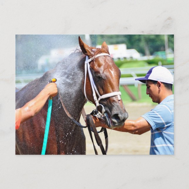 Cartão Postal Michonne (Frente)