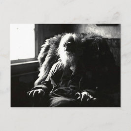 Cartão Postal Mickle Street Camden "Rosto Sempre à Luz do Sol"