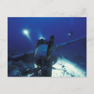 Cartão Postal Micronésia, Palau, Patrimônio Mundial. Divers