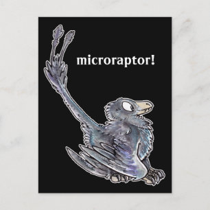 Cartão postal Microraptor