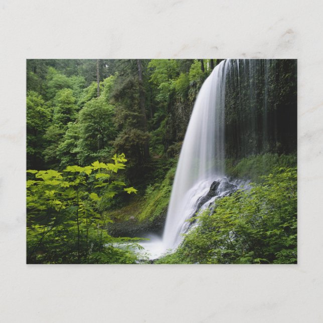 Cartão Postal Middle North falls, Silver Falls State Park, (Frente)