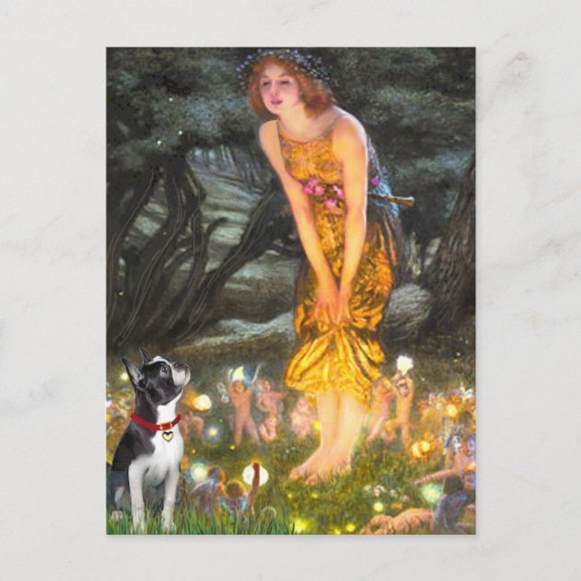 Cartão Postal MidEve - Boston Terrier #2 (Frente)