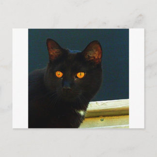 Cartão Postal Midnight