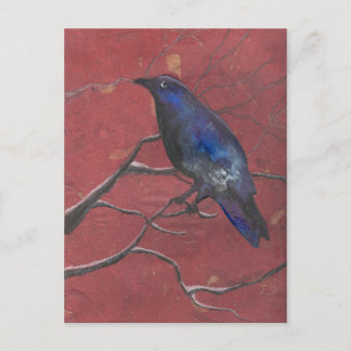 Cartão Postal Midnight Raven