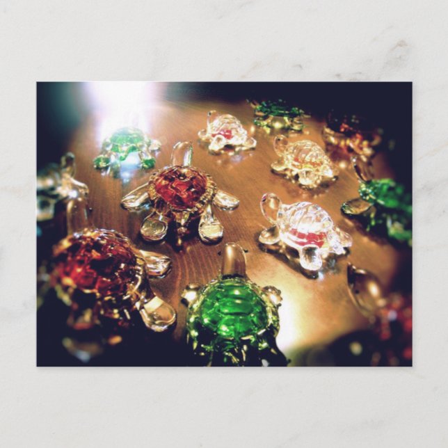 Cartão Postal Migração - Tartarugas de Vidro (Frente)