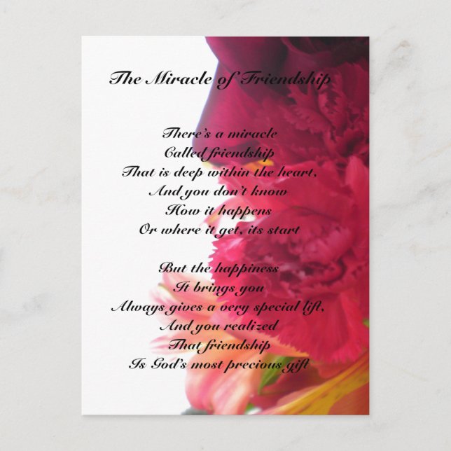 Cartão postal Milagre da Amizade (Frente)