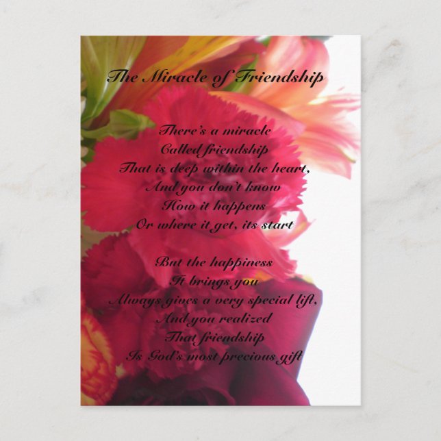 Cartão postal Milagre da Amizade (Frente)