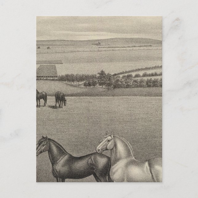 Cartão Postal Mill Brae Ranch, Kansas (Frente)