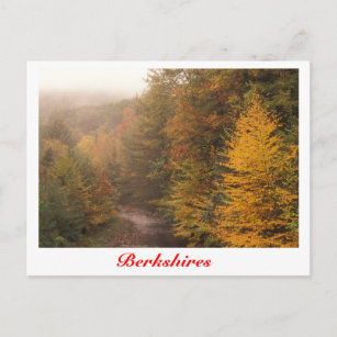 Cartão Postal Mill Brook Autumn, Berkshires Stream