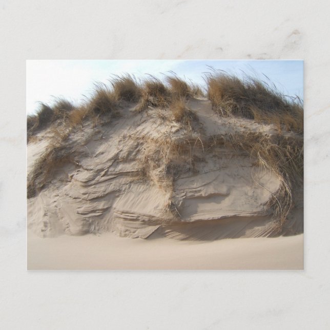 Cartão Postal Miller Beach em Gary, Indiana (Frente)