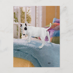 Cartão Postal Mimado? Filhote de Bull Terrier... De jeito nenhum