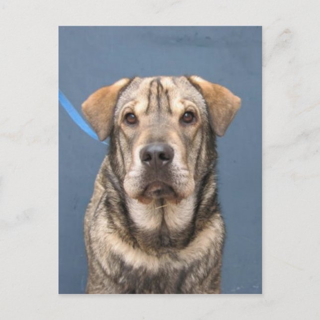 Cartão Postal Mindy (Frente)