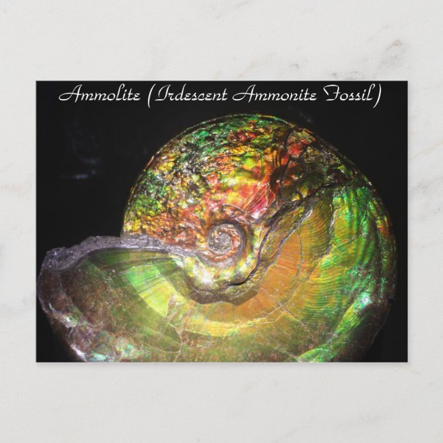 Cartão Postal Minerais & Gems # 127 (Frente)