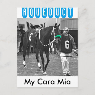 Cartão Postal Minha Cara Mia