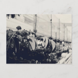 Cartão Postal Minha Cingapura: Série Heartlands #6