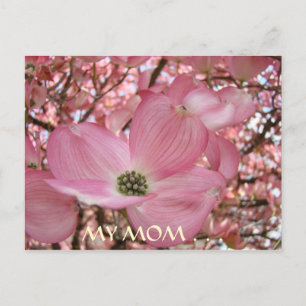 CARTÃO POSTAL Minha Mãe Mais Doce da Vida FLORES D
