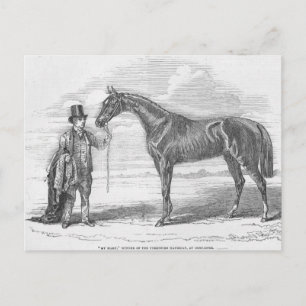 Cartão Postal Minha Maria', vencedora do Yorkshire Handicap