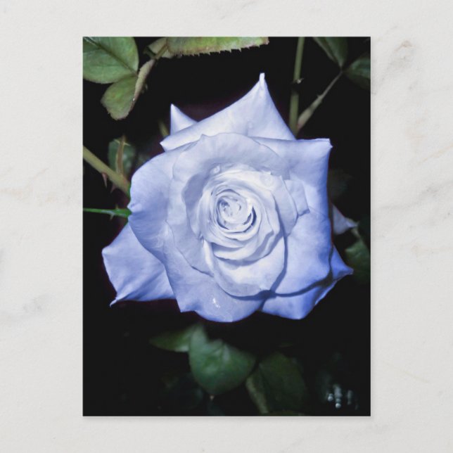 Cartão Postal Minha Pequena Princesa (Frente)