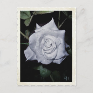 Cartão Postal Minha Pequena Princesa Azul