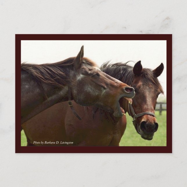 Cartão Postal Minha Turbulenta Senhorita com Cartão-postal Taba (Frente)