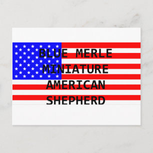 Cartão Postal mini aussie name na bandeira azul merle