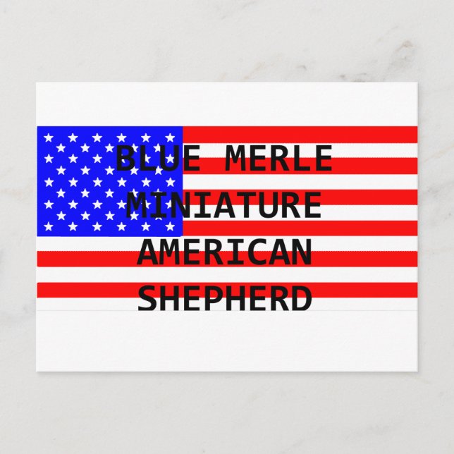 Cartão Postal mini aussie name na bandeira azul merle (Frente)