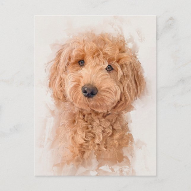 Cartão Postal Mini Goldendoodle Portrait (Frente)