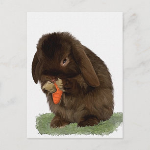 Cartão Postal Mini Lop Bunny e cenoura