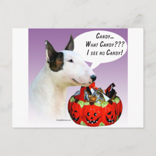 Cartão Postal Miniatura Bull Terrier Halloween Candy