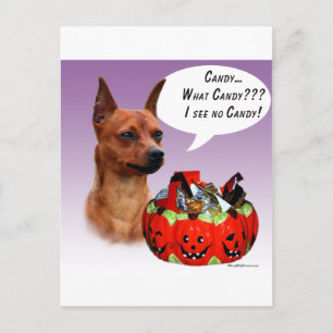 Cartão Postal Miniatura Pinscher Doces de Halloween