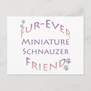 Cartão Postal Miniatura Schnauzer Fuore