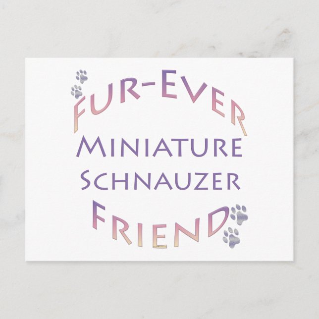 Cartão Postal Miniatura Schnauzer Fuore (Frente)