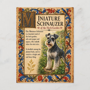 Cartão Postal Miniature Schnauzer, Arte Medieval de Bestiário