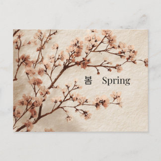 Cartão Postal Minimal Cherry Blossom Spring Postcard