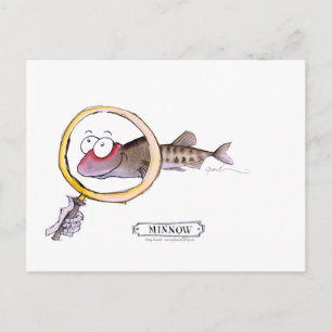 Cartão Postal Minnow fish, tony fernandes