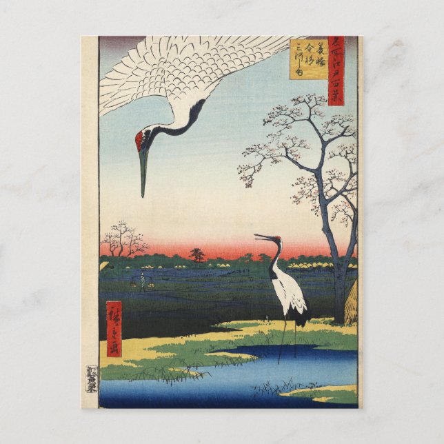 Cartão Postal Minowa, Kanasugi, Mikawashima. (Frente)